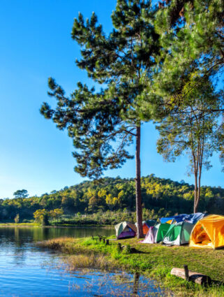 Pitch your tent under starlit skies in deep forests and high-altitude plateaus.