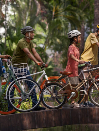 Pedal through scenic winding roads, deep valleys, and lush tea estates.